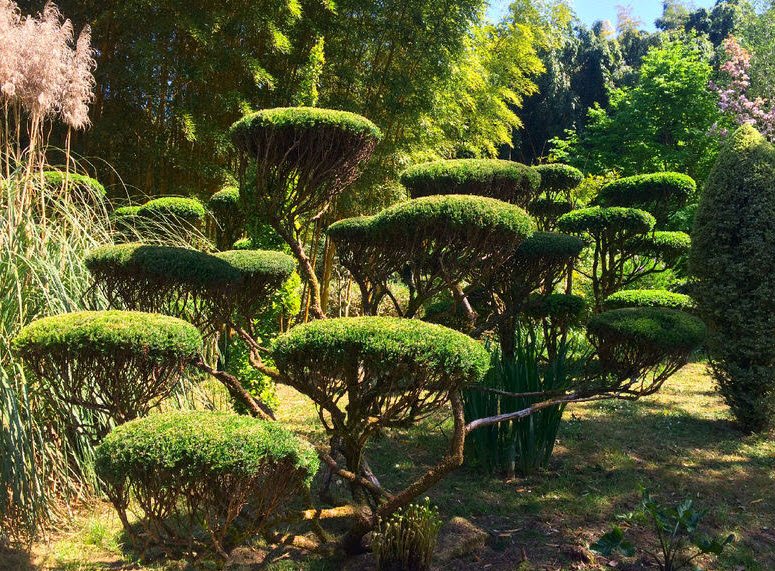 Les Bambous De Planbuisson Garden, Le Buisson-de-Cadouin, France, France